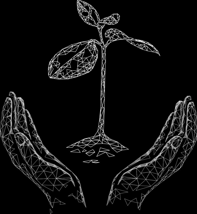 Hands protecting a growing plant - supporting farmers